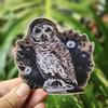 plant/Owl and Bones Vinyl Sticker-0-thumbnail