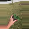 plant/Philodendron Billietiae 3.5" Seller's Choice-0-thumbnail