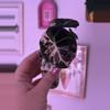 plant/Alocasia Pink Black Velvet-0-thumbnail