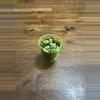 plant/String of turtles-0-thumbnail