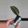 plant/Hoya sp Aceh Shogun #6505-4-thumbnail