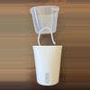plant/Reserved for Houseplantatelier white SWP 3”(20) and 4”(20)-0-thumbnail