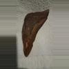 free_shipping/Megalodon fragment-0-thumbnail
