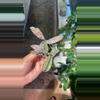 plant/Sunstresses Sigilatis-0-thumbnail