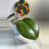 plant/Hoya Latifolia Sarawak-1-thumbnail