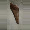 free_shipping/Megalodon fragment-1-thumbnail