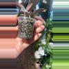 plant/Sunstresses Sigilatis-1-thumbnail
