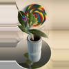 plant/Hoya AH 029-0-thumbnail