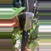plant/Megalaster x Self starter-1-thumbnail