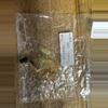 plant/Alocasia Wentii Aurea Rehab TC 69-0-thumbnail