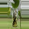 plant/Set of 2 Hanging Glass Propagation Vases-0-thumbnail