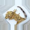 plant/497 CD x BM female Dalmatian ( oil spots)-0-thumbnail