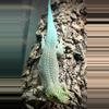 plant/Standing Day Gecko (Pair) (HIGH BLUE LINE)-1-thumbnail