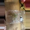 plant/Alocasia Nobilis 5 pack-0-thumbnail