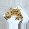 plant/496 Lilly exotics line Dalmatian female-0-thumbnail