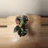 plant/#22 Hoya Burtoniae-2-thumbnail