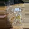 plant/Alocasia Ninja 5 pack-0-thumbnail