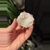 plant/Natural Quartz Geode-0-thumbnail