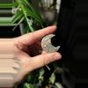 plant/High Quality Moss Agate Moon-0-thumbnail