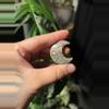 plant/High Quality Moss Agate Moon-1-thumbnail