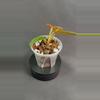 plant/Philodendron Verrucosum Titanium-1-thumbnail