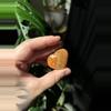 plant/Polychrome Jasper Heart – Desert Jasper Crystal-0-thumbnail