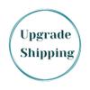 shipping_upgrade/PLANT shipping ADD ON-0-thumbnail