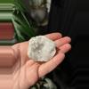 plant/Natural Quartz Geode-1-thumbnail