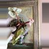 plant/Philodendron Billietiae Variegated Billie Variegated-1-thumbnail