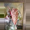 plant/Philodendron Billietiae Variegated Billie Variegated-2-thumbnail