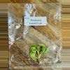 plant/Philodendron Snowdrift TC-0-thumbnail