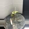 plant/RBR04 — Corm Grown Alocasia Frydek Variegated Pup-4-thumbnail