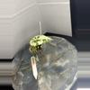 plant/RBR04 — Corm Grown Alocasia Frydek Variegated Pup-3-thumbnail