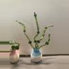 plant/Beaded Mini Potted Plants-3-thumbnail