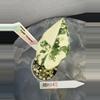 plant/RBR04 — Corm Grown Alocasia Frydek Variegated Pup-1-thumbnail