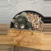 plant/Copiapoa Tennuissima cv Starry Night-3-thumbnail
