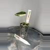 plant/RBR06 — Corm Grown Alocasia Frydek Variegated Pup-3-thumbnail