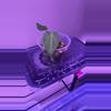 plant/Anthurium flat bess x bvep BBL-0-thumbnail