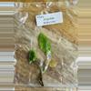 plant/Syngonium Mojito TC-0-thumbnail