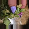 plant/Mutated granny panties syngonium-3-thumbnail