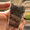 plant/Alocasia Jacklyn Aurea PUP-4-thumbnail
