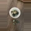 plant/Prehnite Polished Tumbled Crystals-0-thumbnail