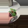 plant/Billitaie Gamble Starter-0-thumbnail