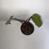plant/Philodendron Persimmon Princess 4”-1-thumbnail