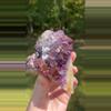 plant/Thunder Bay Amethyst-0-thumbnail