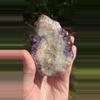 plant/Thunder Bay Amethyst-3-thumbnail