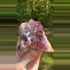 plant/Thunder Bay Amethyst-1-thumbnail