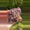 plant/Thunder Bay Amethyst-2-thumbnail