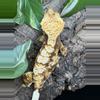 plant/#9 HubStar-2210, 40g-1-thumbnail