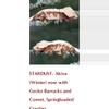 plant/#9 HubStar-2210, 40g-3-thumbnail